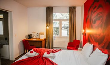 afbeelding van Pretpark Special