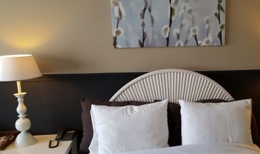 afbeelding van luxe kamer
