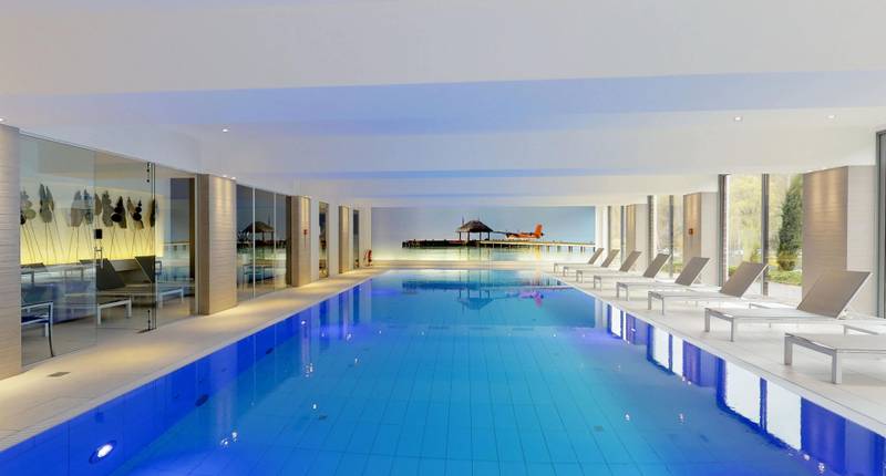 Wellness