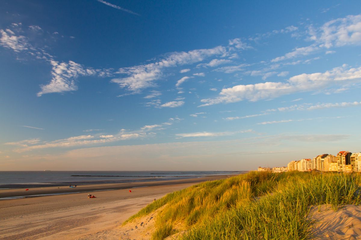 Onze Bed and Breakfasts (B&B’s) in België