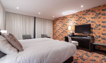 afbeelding van Luxe kamer