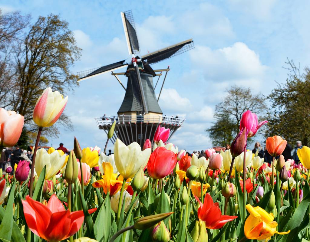 Top 10 bezienswaardigheden in Nederland