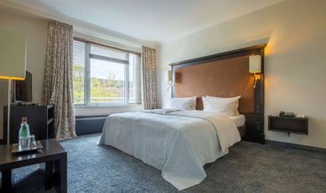 afbeelding van Standaard Kamer