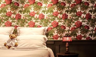 afbeelding van Comfort kamer