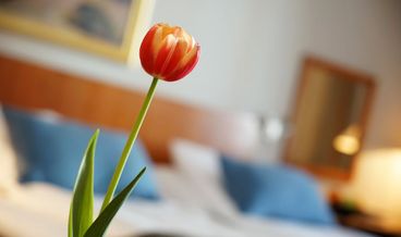 afbeelding van Economy Twin Room, 2 Twin Beds-2 Twin Beds Non Refundable Free WiFi Free self parking Free breakfast