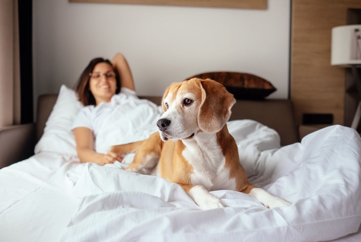 Hotel in Tsjechië met hond