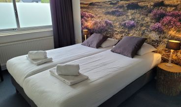 afbeelding van Standaard Kamer