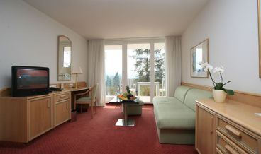 afbeelding van Junior Suite, 1 Queen Bed, Balcony, Mountain View-1 Queen Bed Free WiFi Free self parking Free breakfast