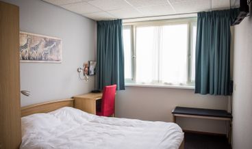 afbeelding van Standaard Kamer