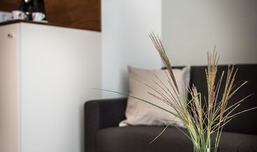 afbeelding van Standaard Kamer