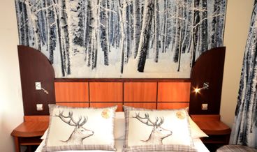 afbeelding van Classic Double or Twin Room-1 Double Bed Non Refundable Free WiFi
