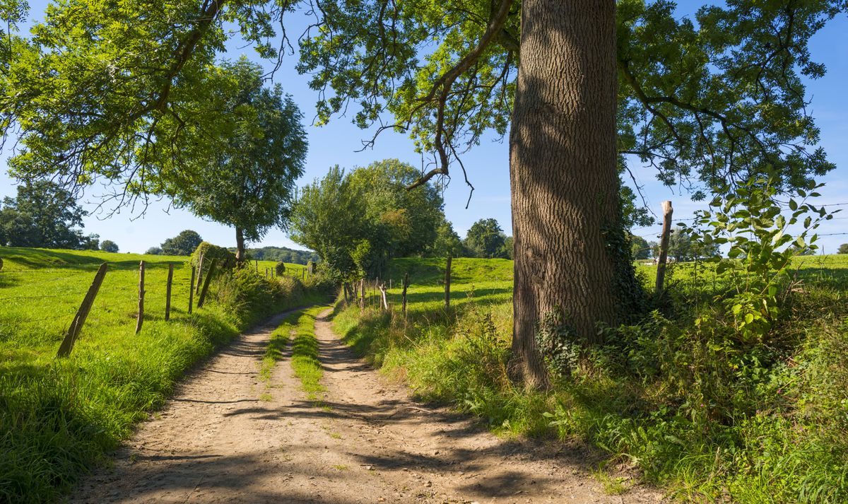 Hotels in Limburg