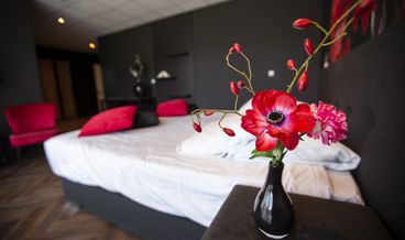 afbeelding van Standaard tweepersoonskamer