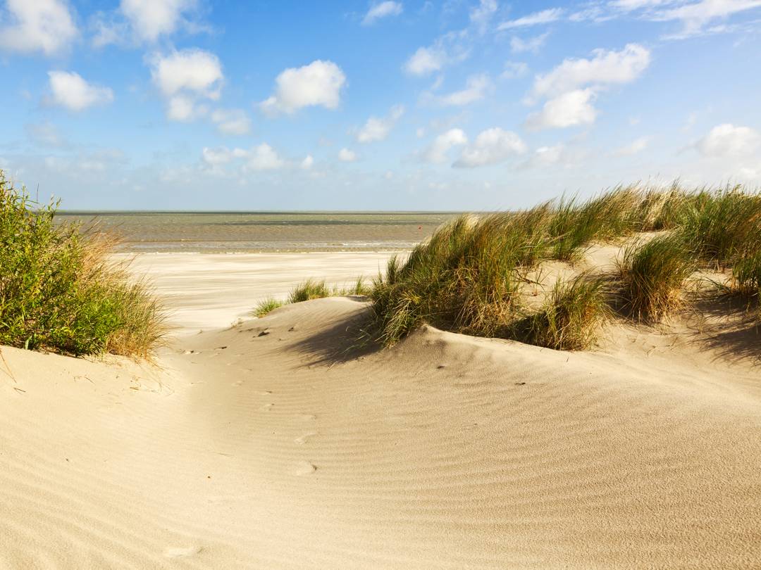 Hotel aan de kust in België boeken?