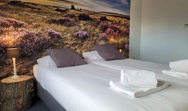 afbeelding van Standaard plus kamer