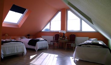 afbeelding van Double Room, Annex Building-2 Twin Beds Non Refundable Free WiFi
