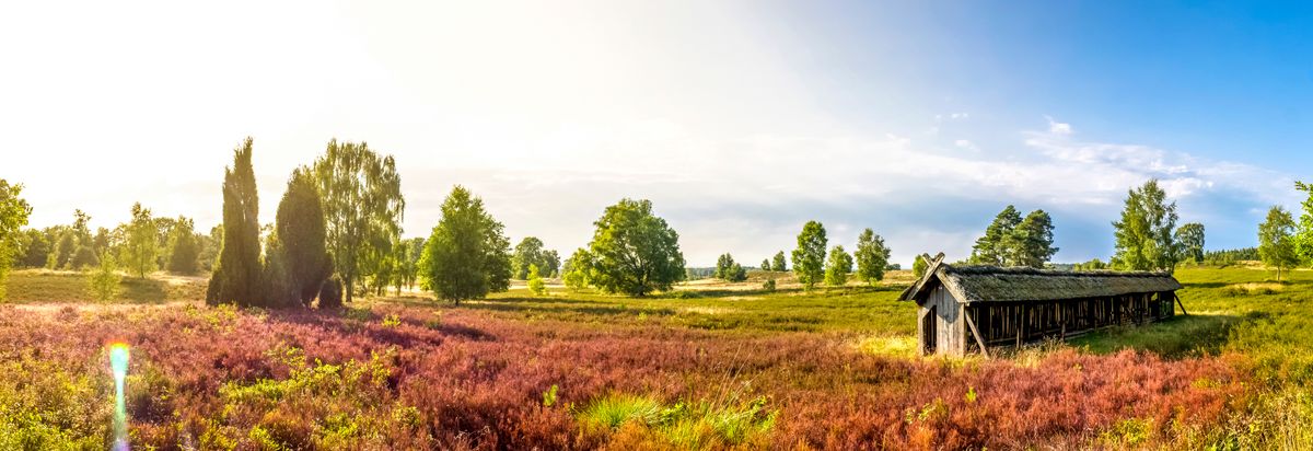 Kindvriendelijke hotels in Nedersaksen