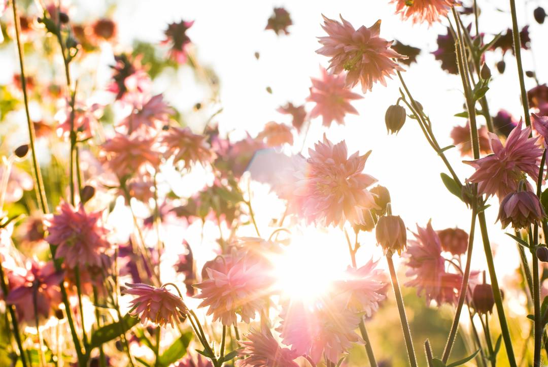 Lente Specials - vanaf 30% korting