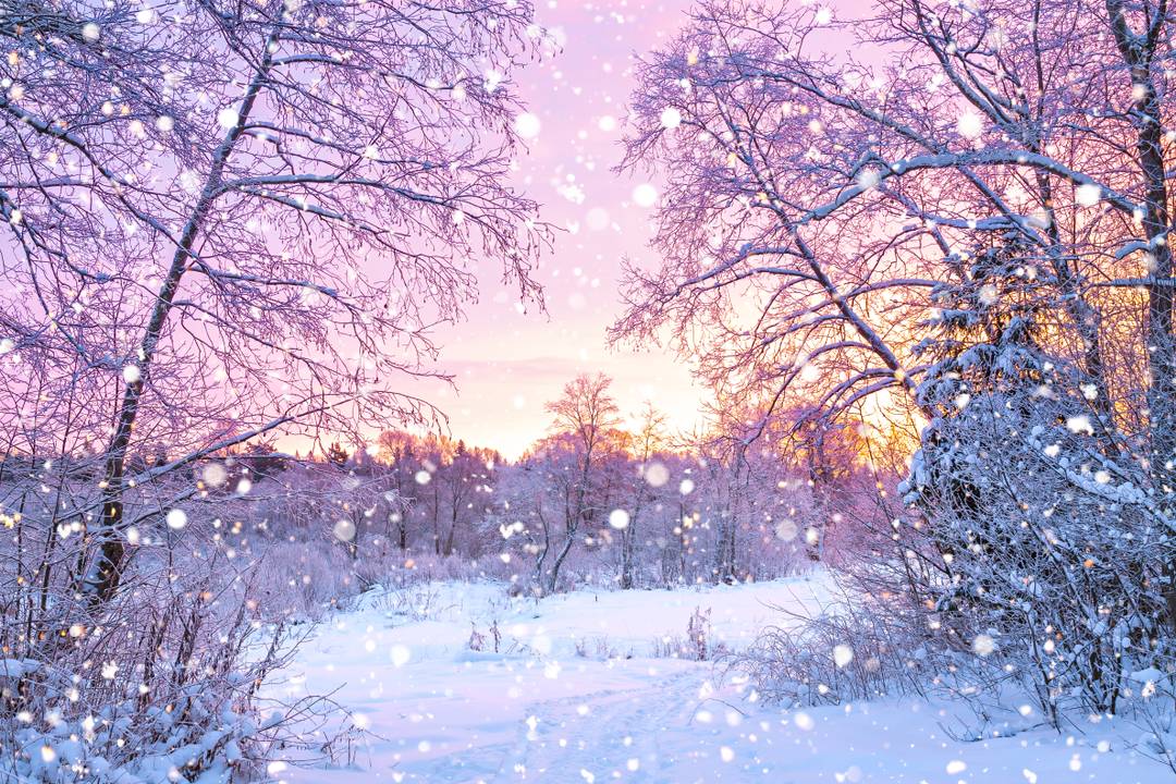Winter Specials