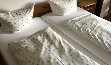 afbeelding van Tweepersoonskamer, 1 queensize bed, niet-roken