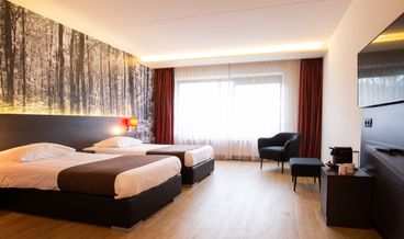 afbeelding van Deluxe kamer