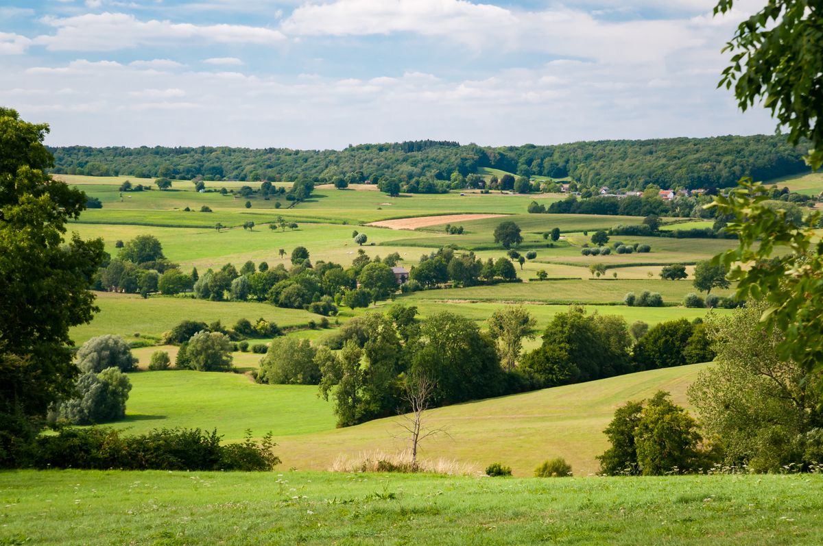 Hotels in Baarlo
