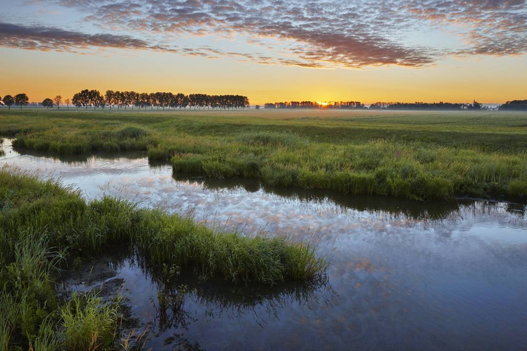 Weekendje weg in de Biesbosch