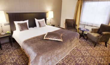 afbeelding van Deluxe Kamer