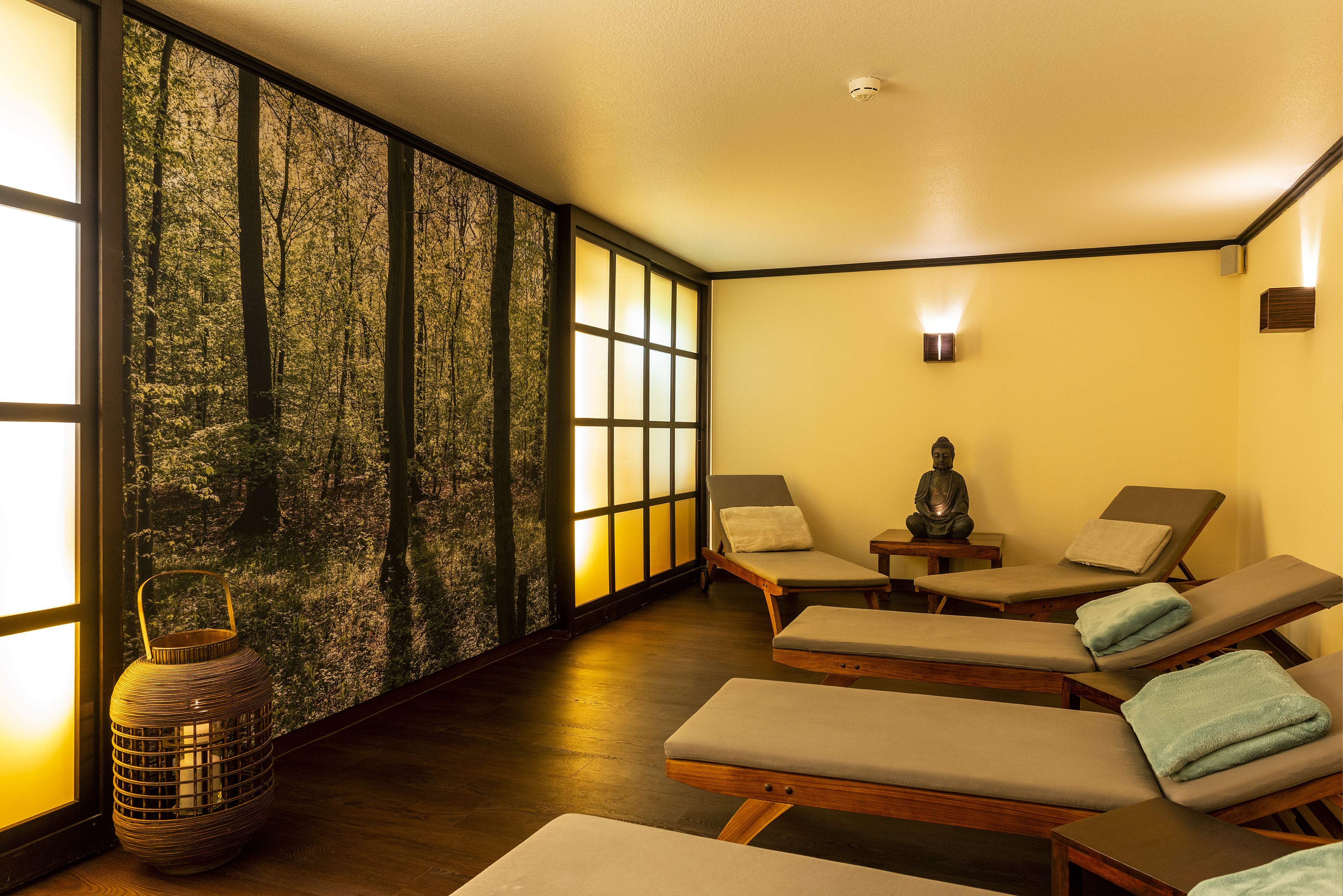 Wellness