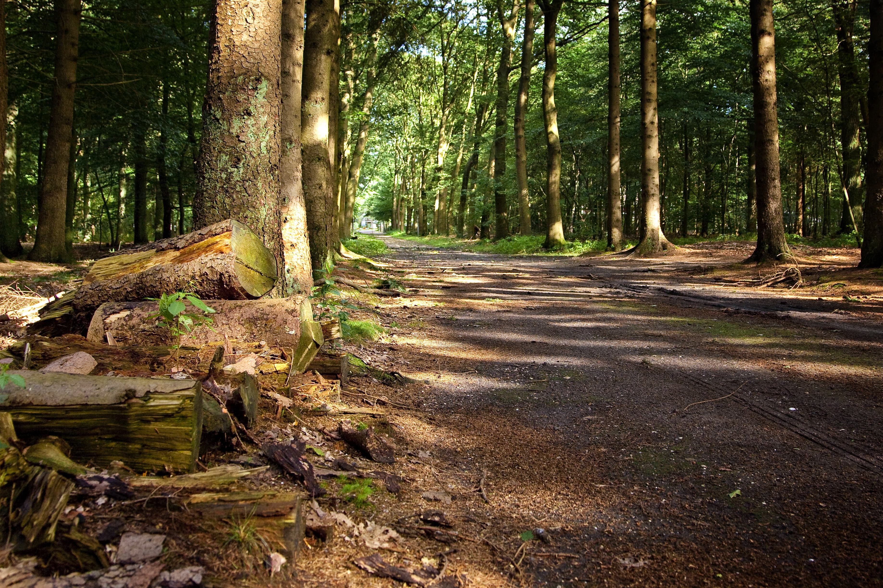 Ligging van het hotel