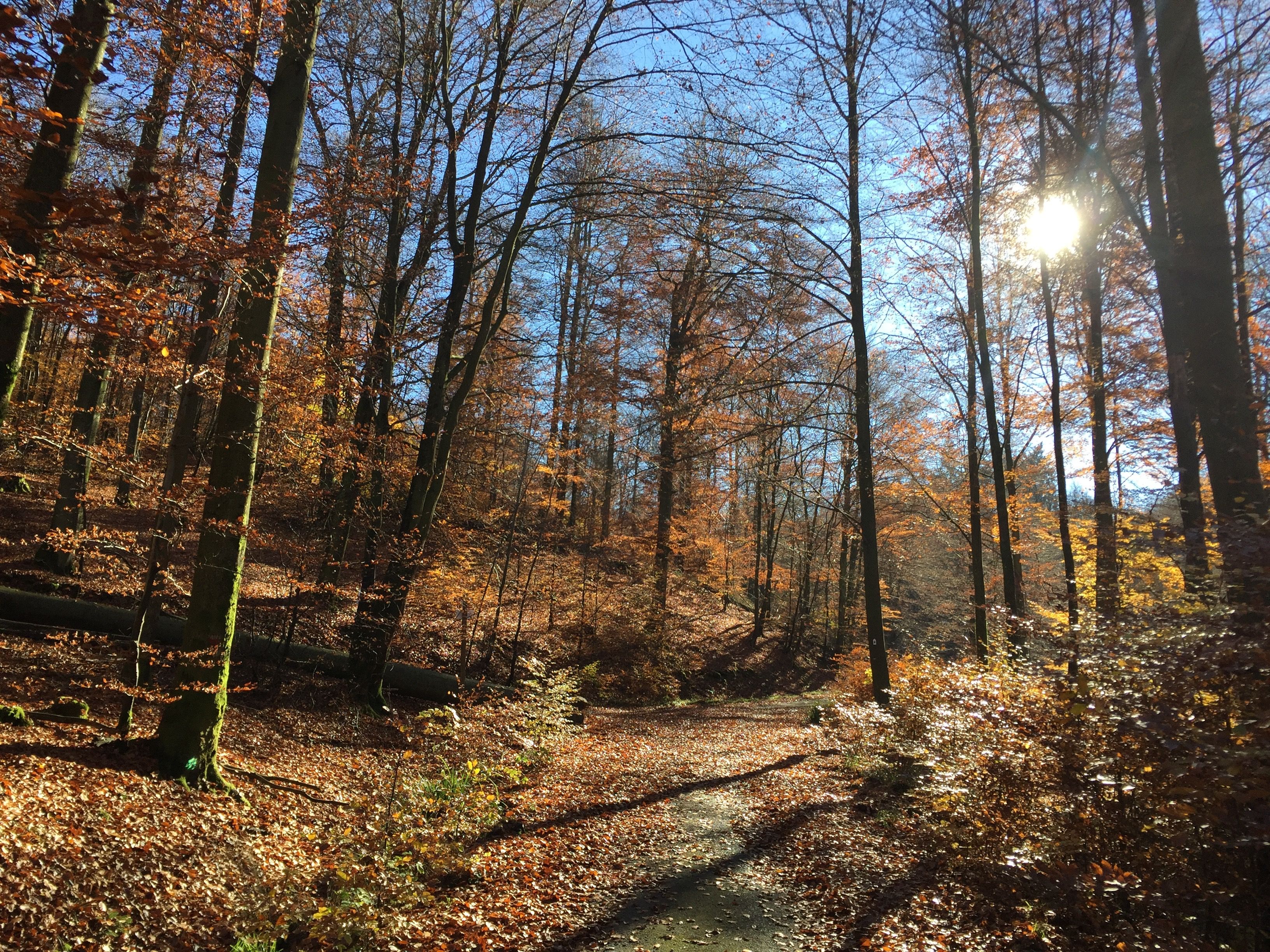 Ligging van het hotel