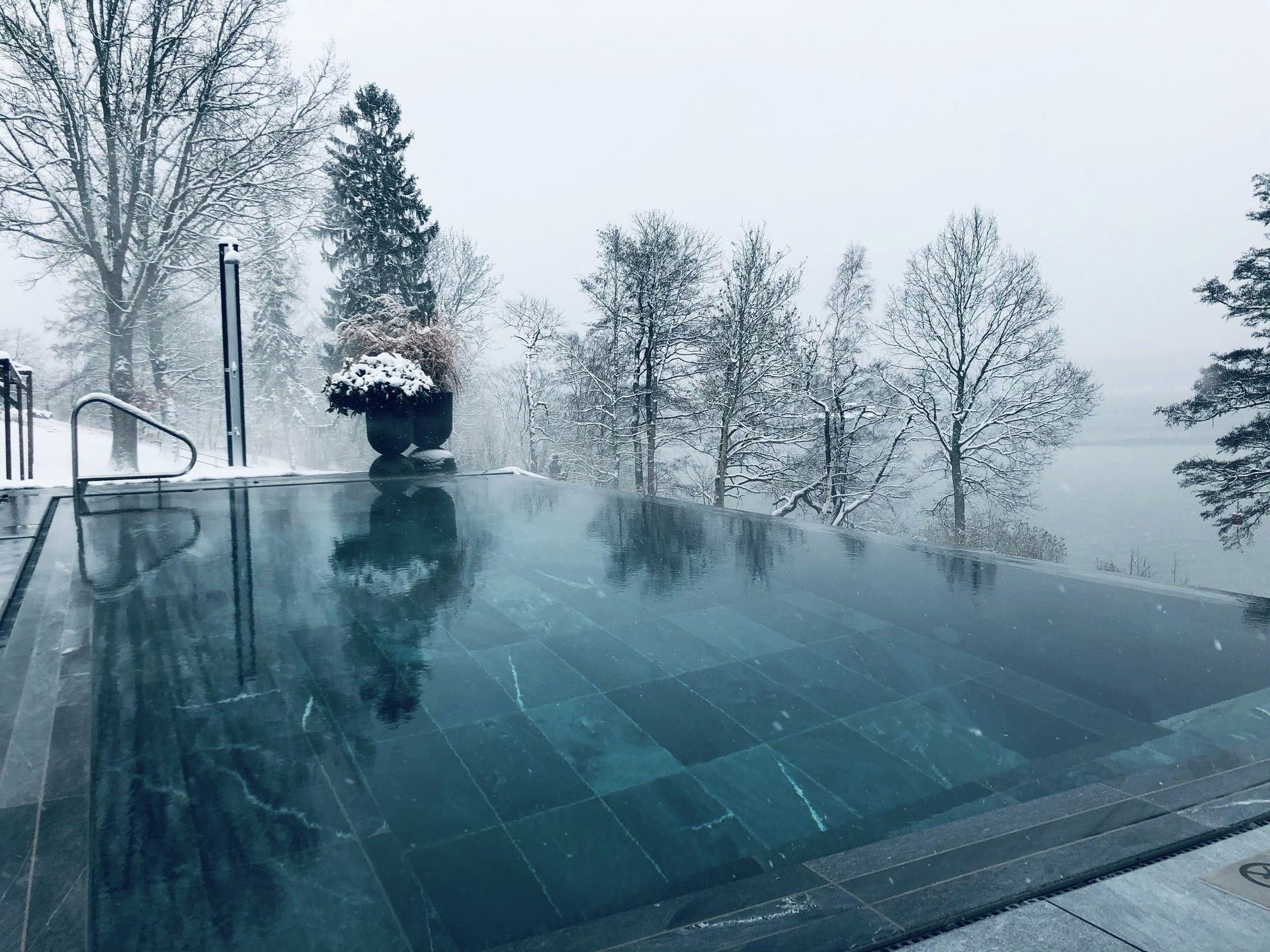 Wellness