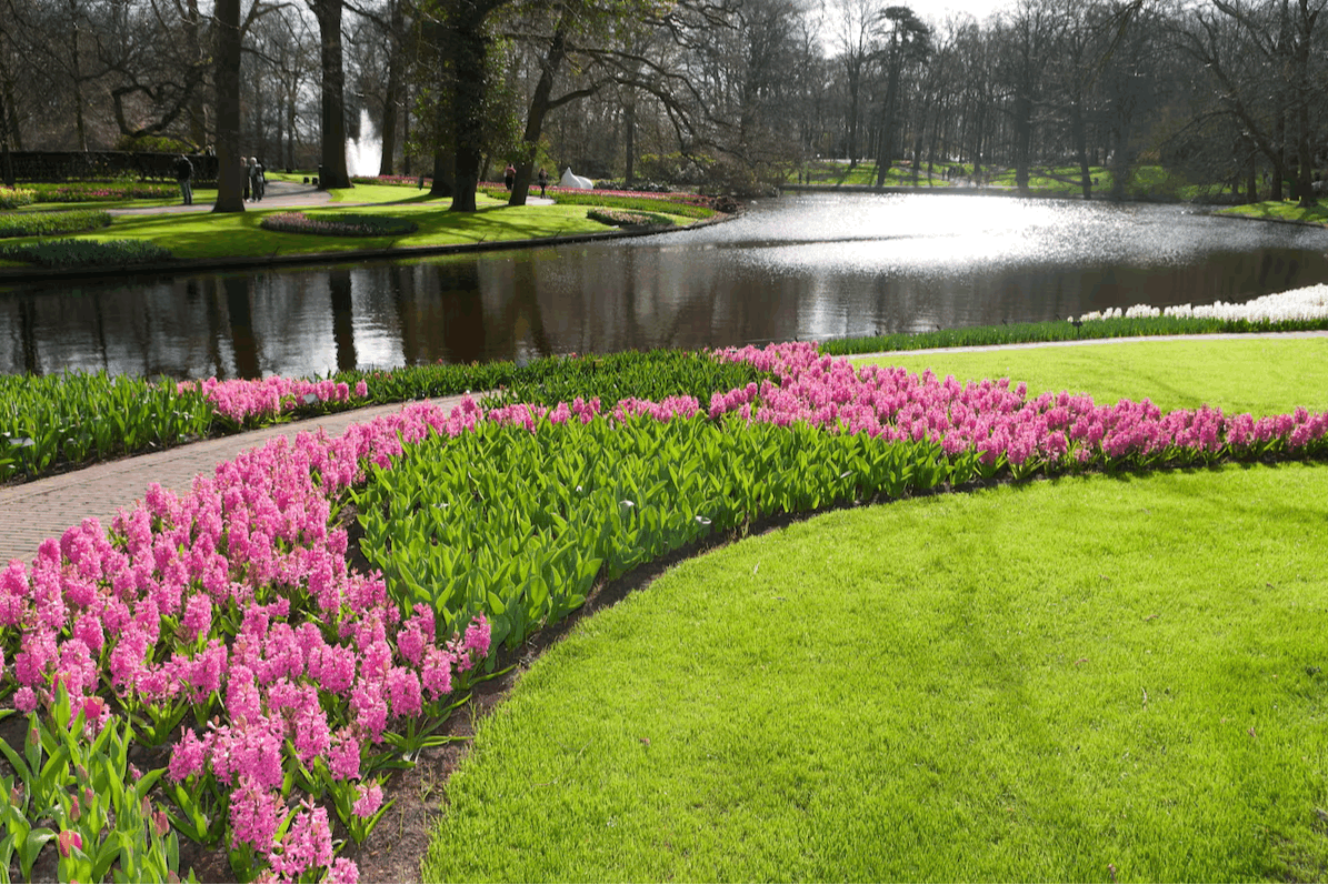 Ligging van het hotel