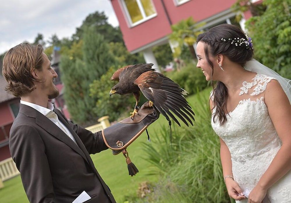 Algemeen