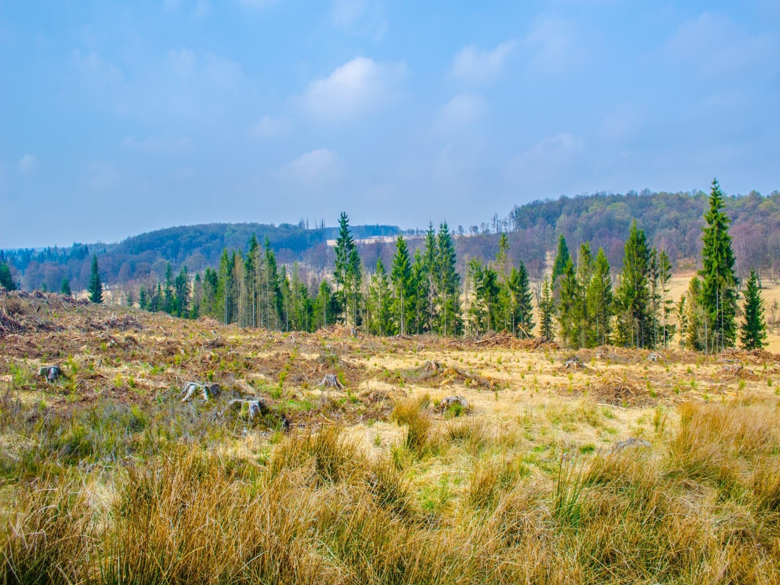 Ligging van het hotel