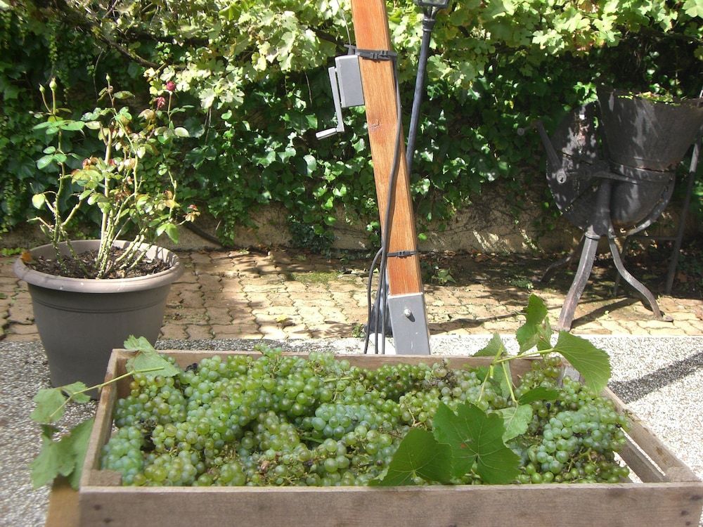 Algemeen