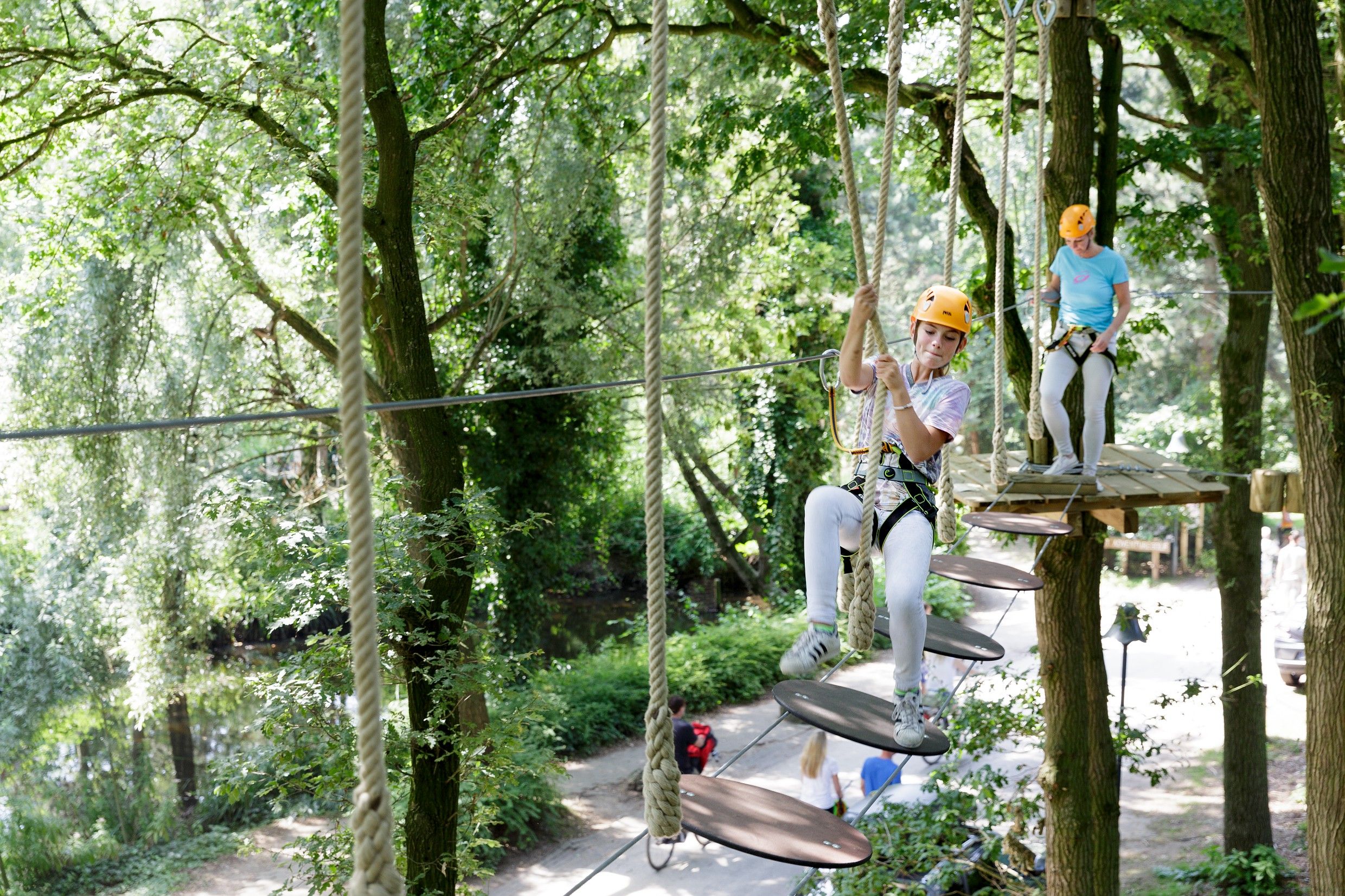 Activiteiten
