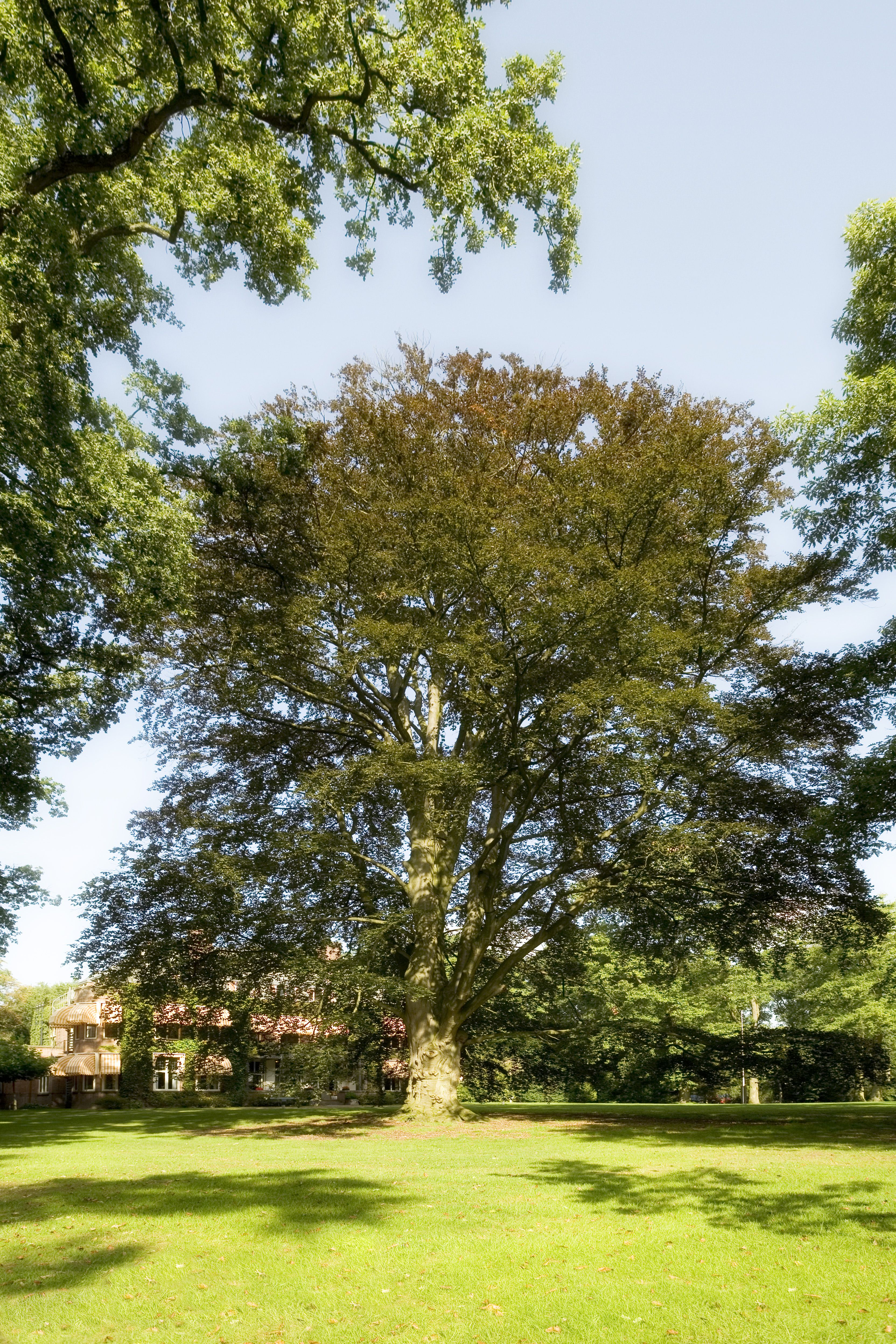 Ligging van het hotel