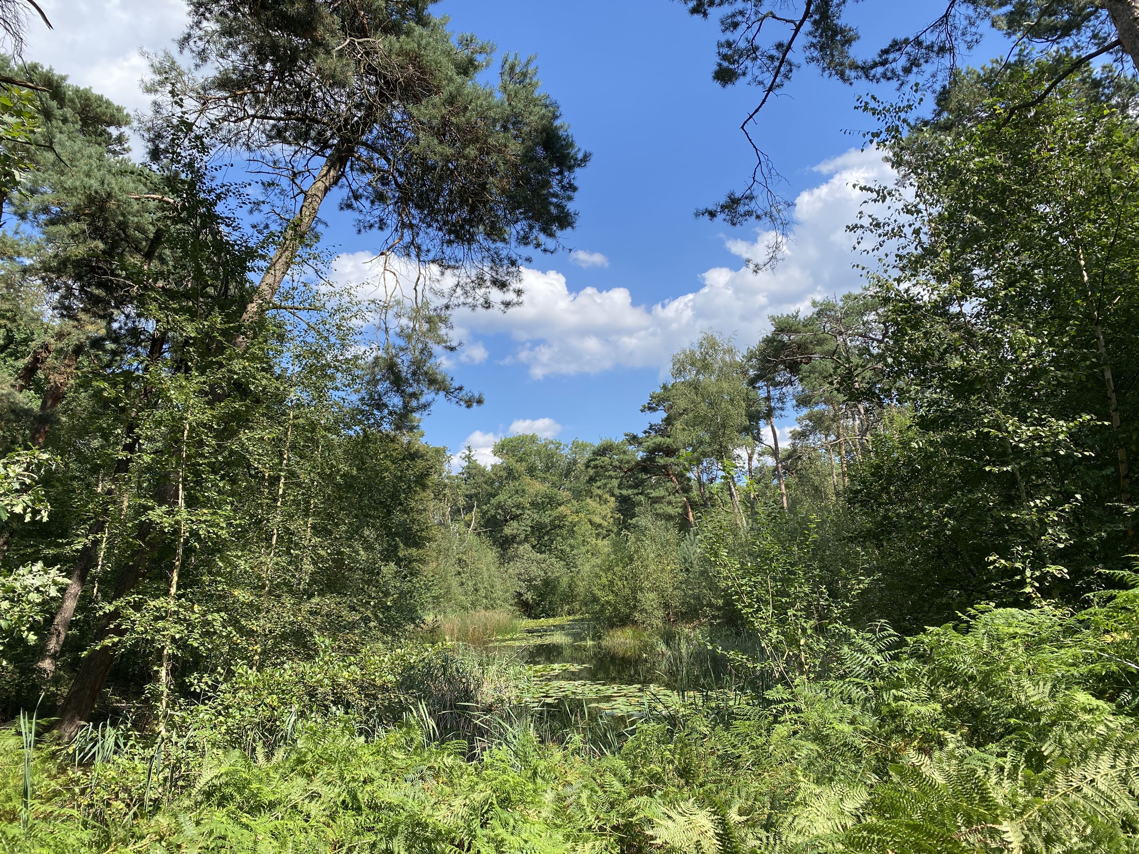 Ligging van het hotel