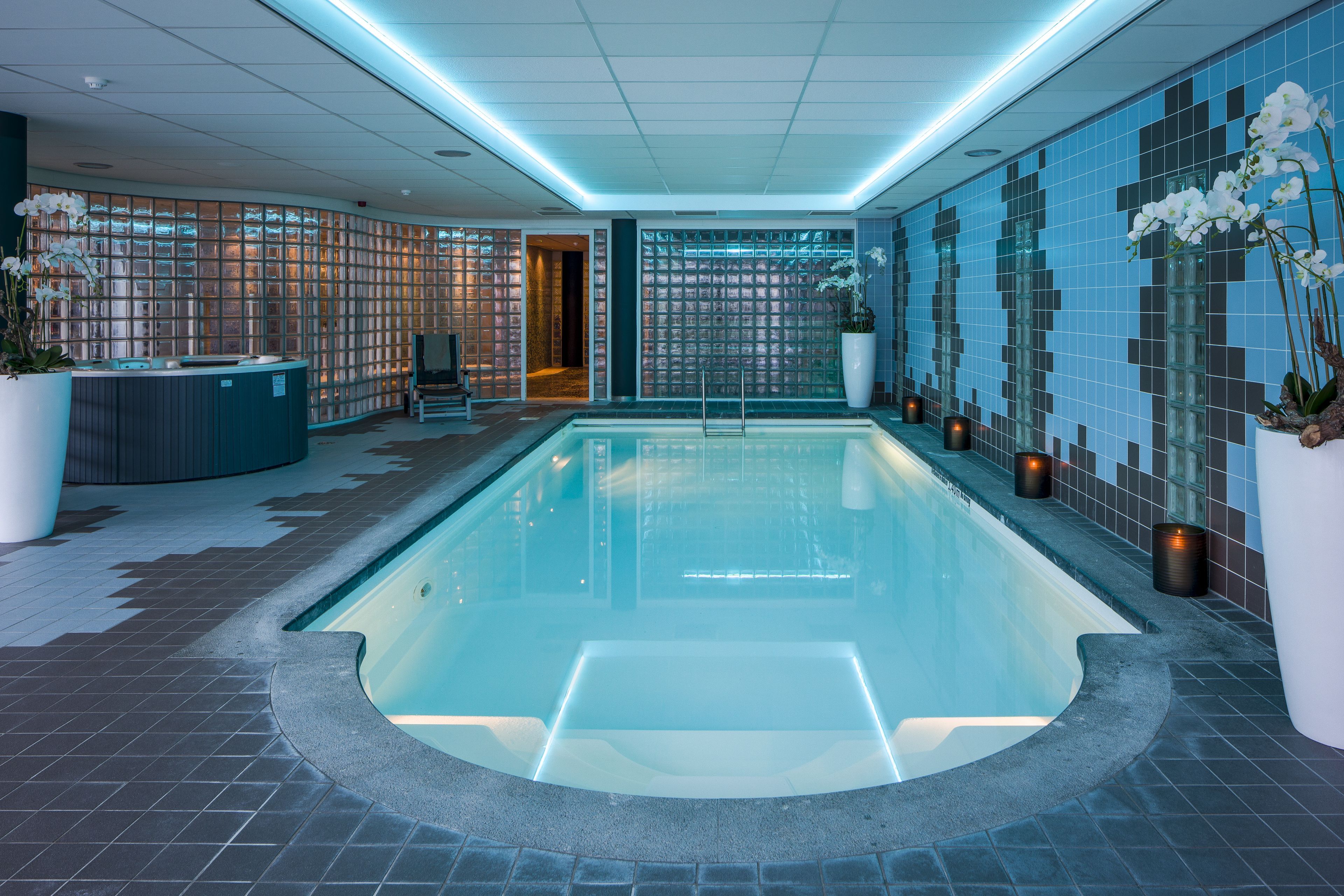 Wellness