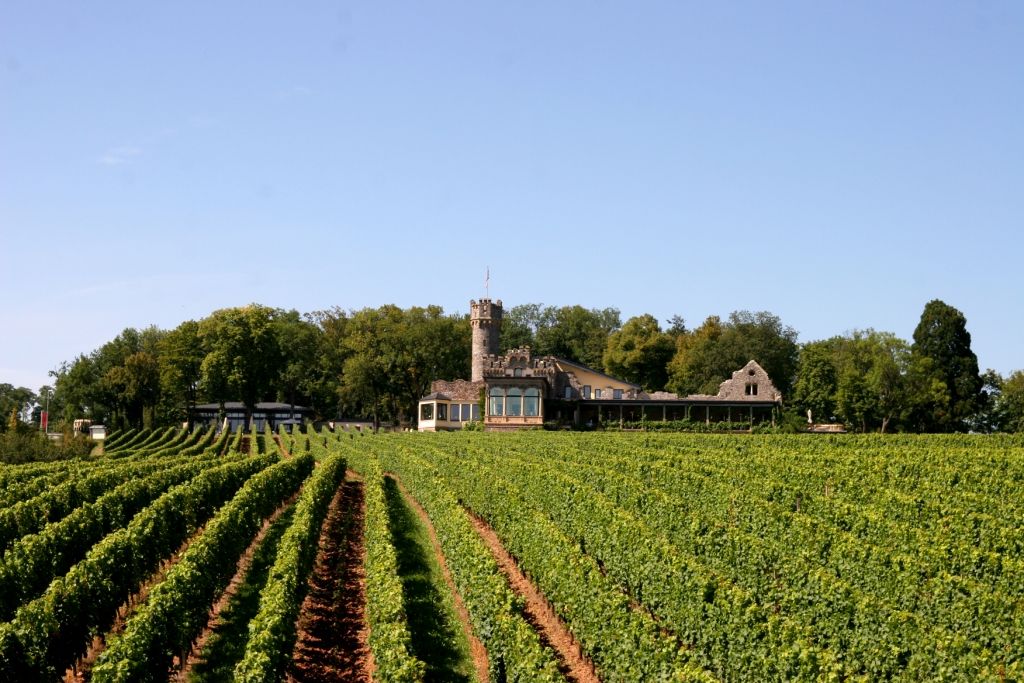Ligging van het hotel