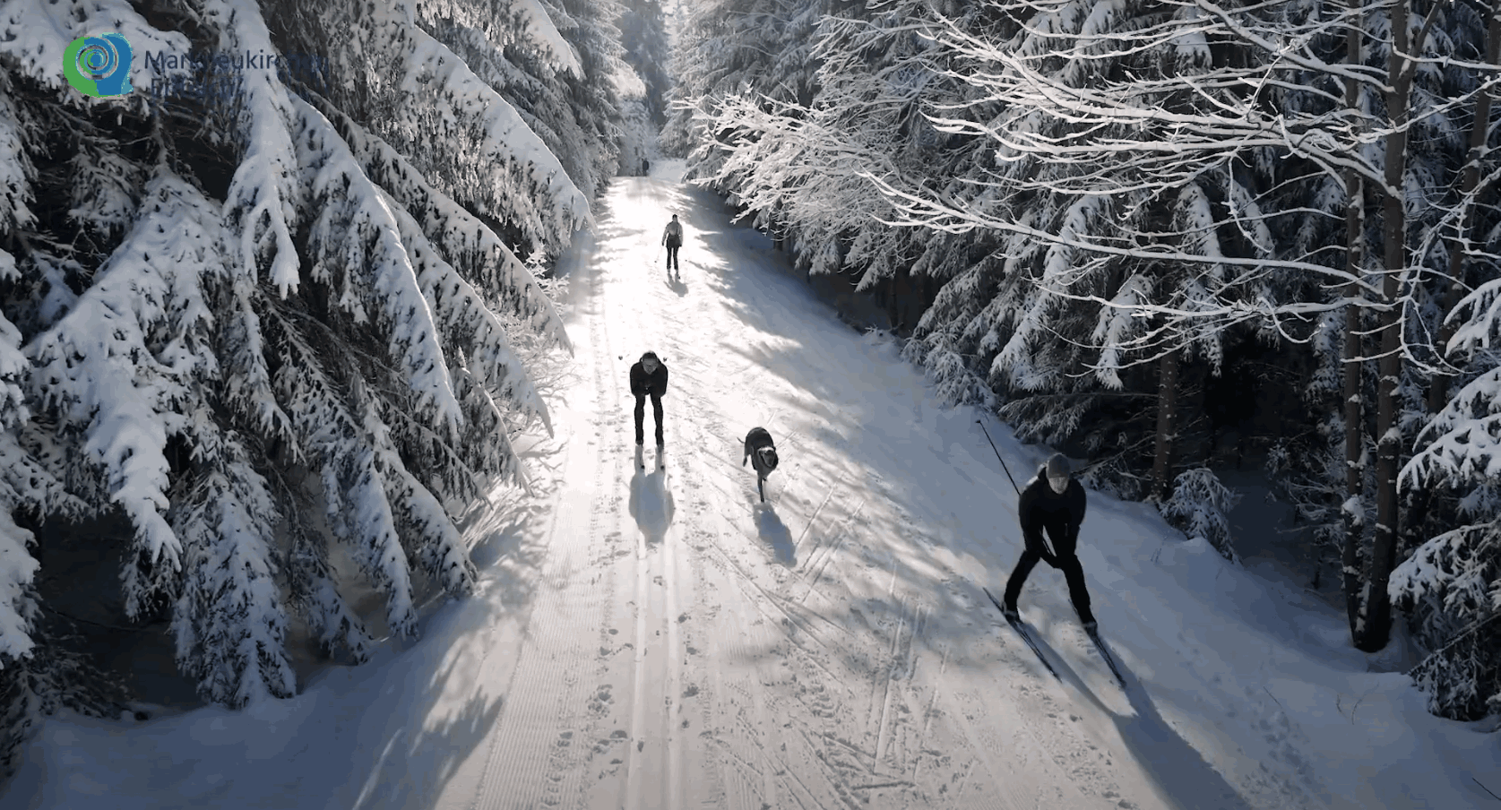 Skigebied