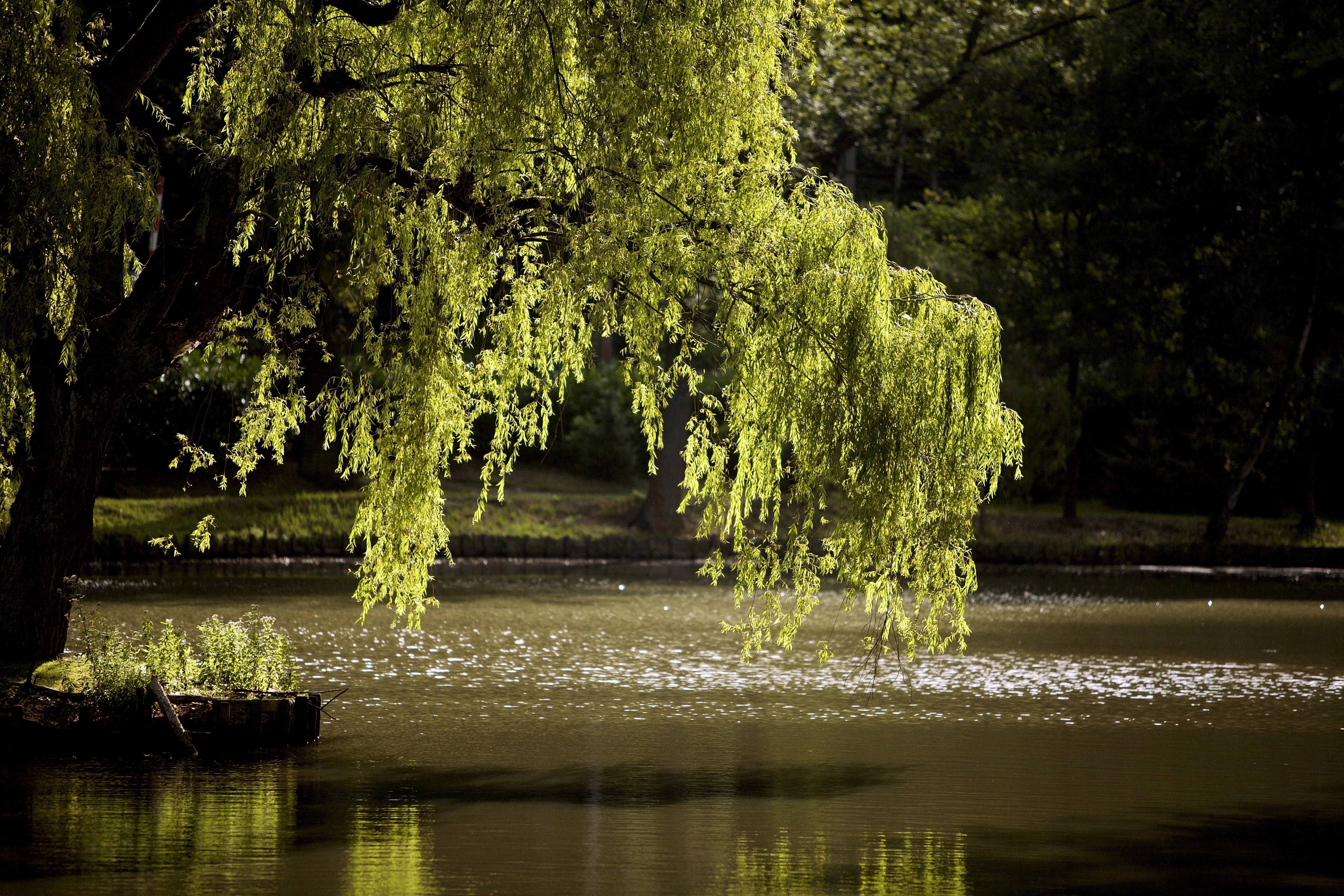 Ligging van het hotel