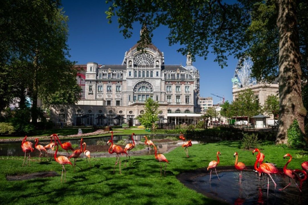 Ligging van het hotel