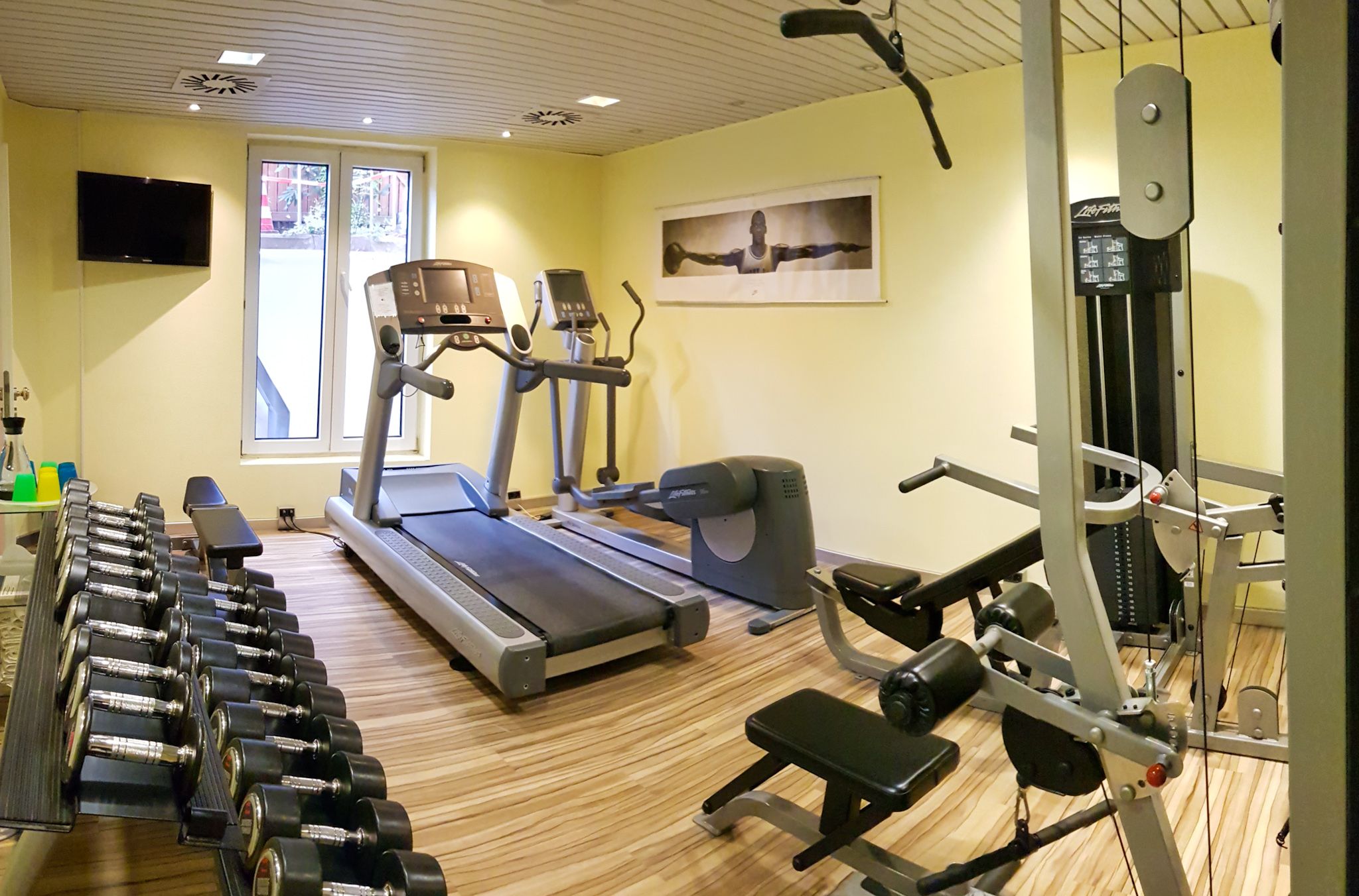 Wellness