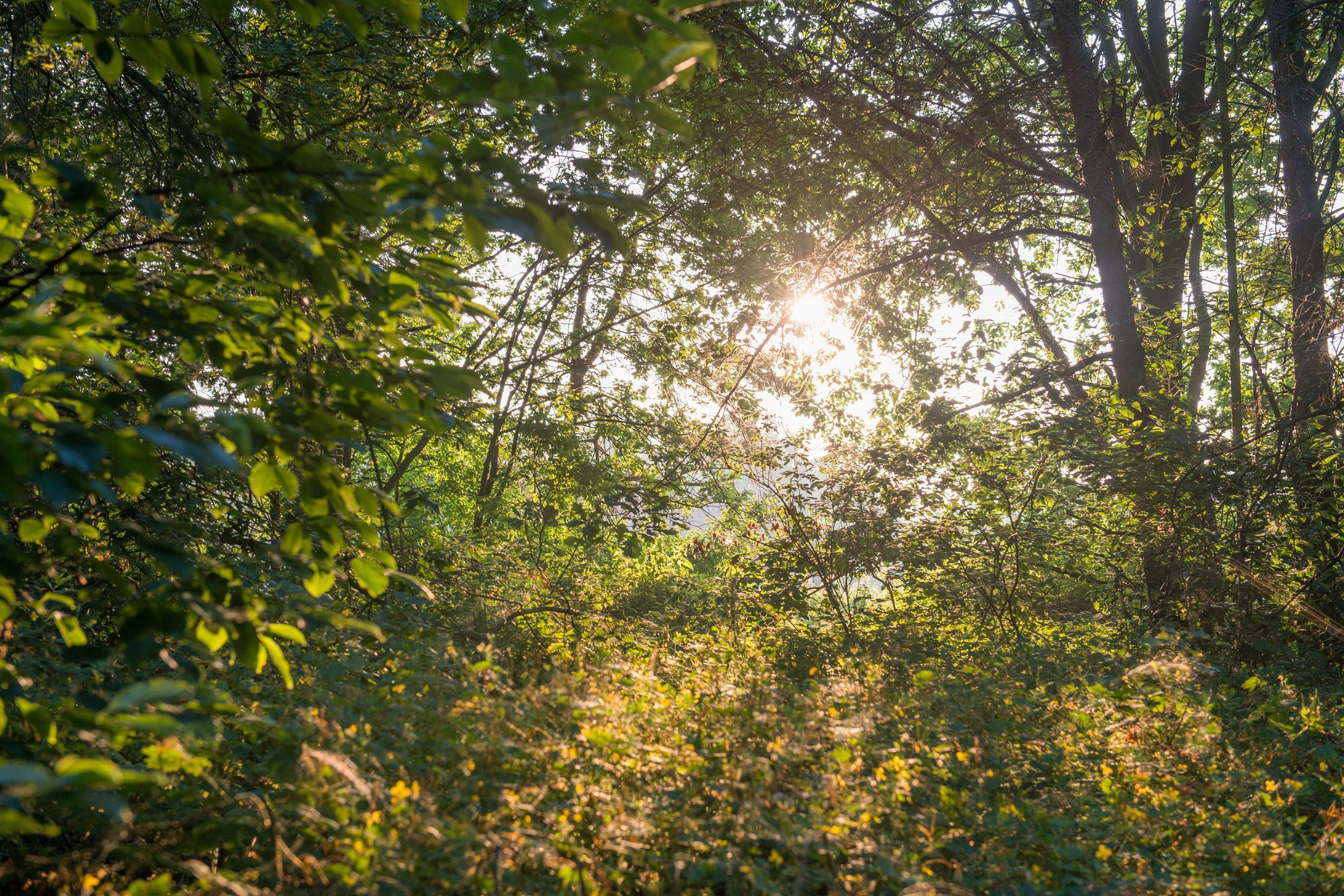 Ligging van het hotel