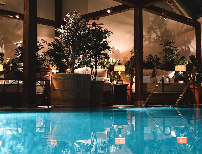 Wellness