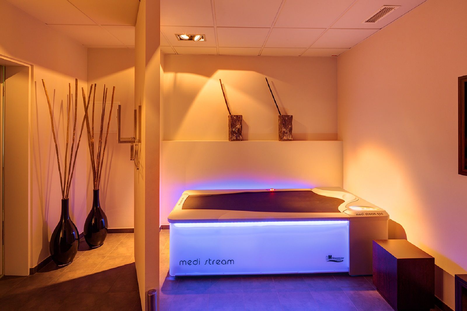 Wellness