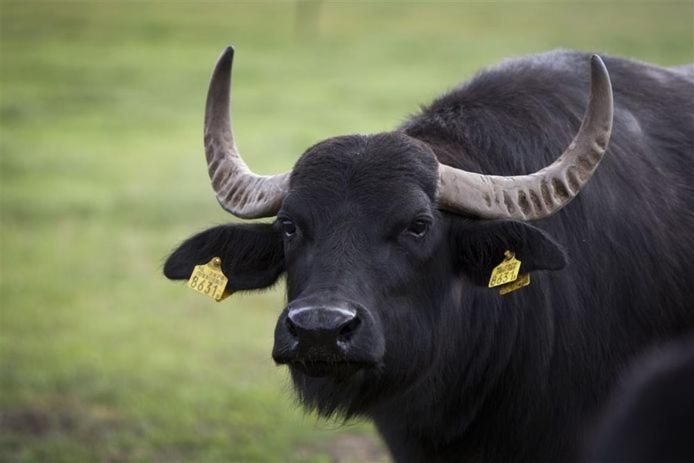 Ligging van het hotel