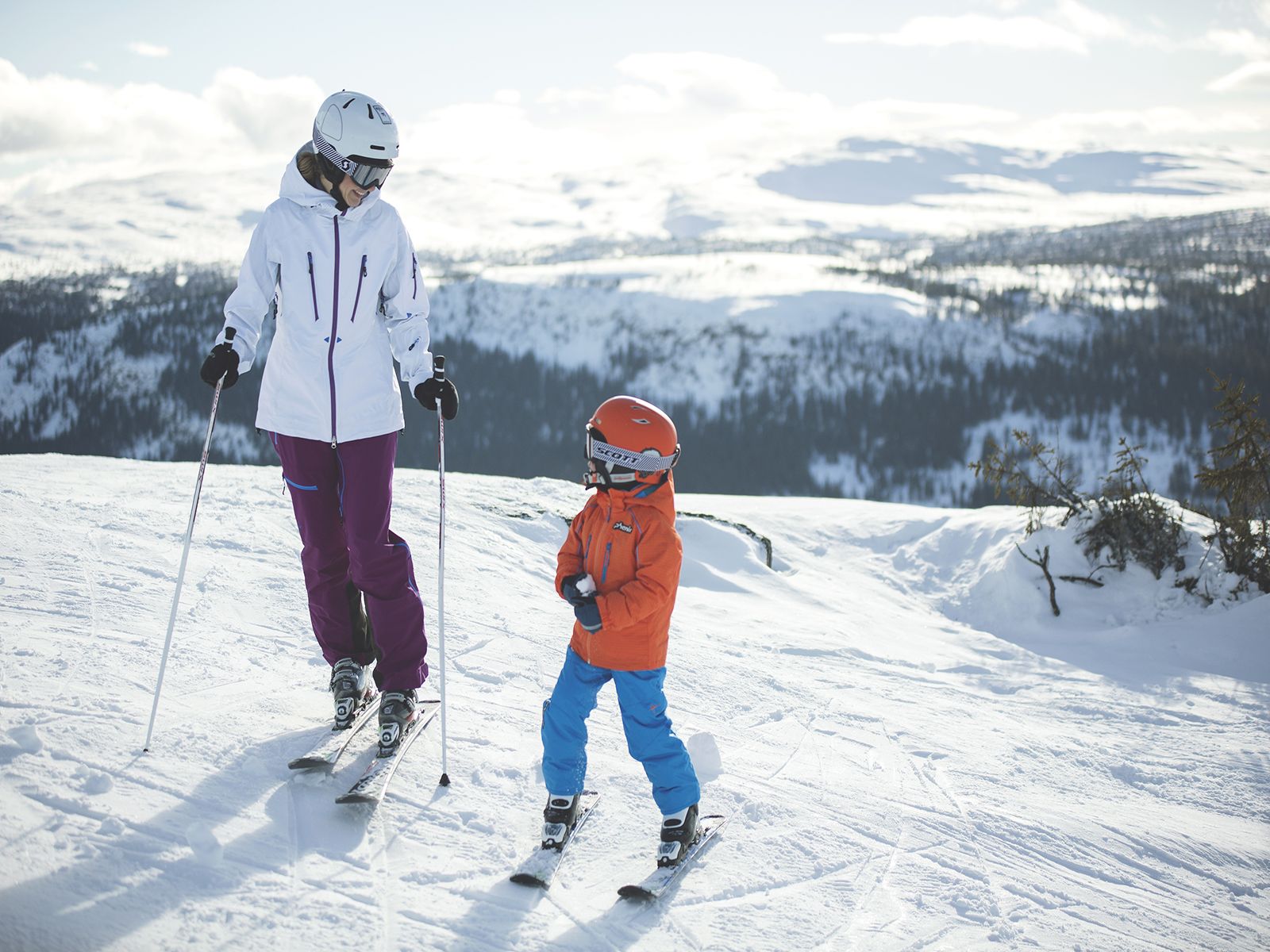 Skigebied